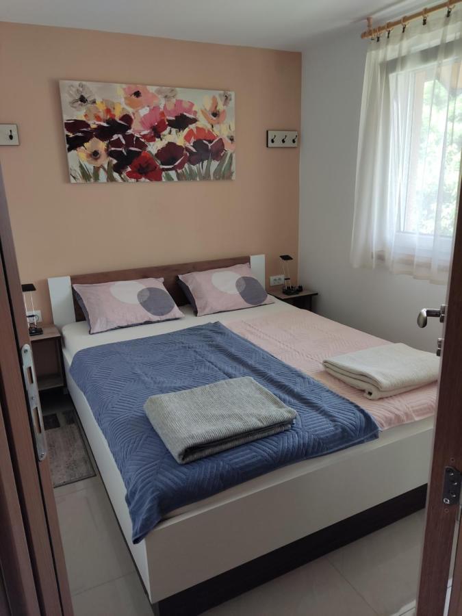 Apartmani Sladjana Novi Sad Exterior photo