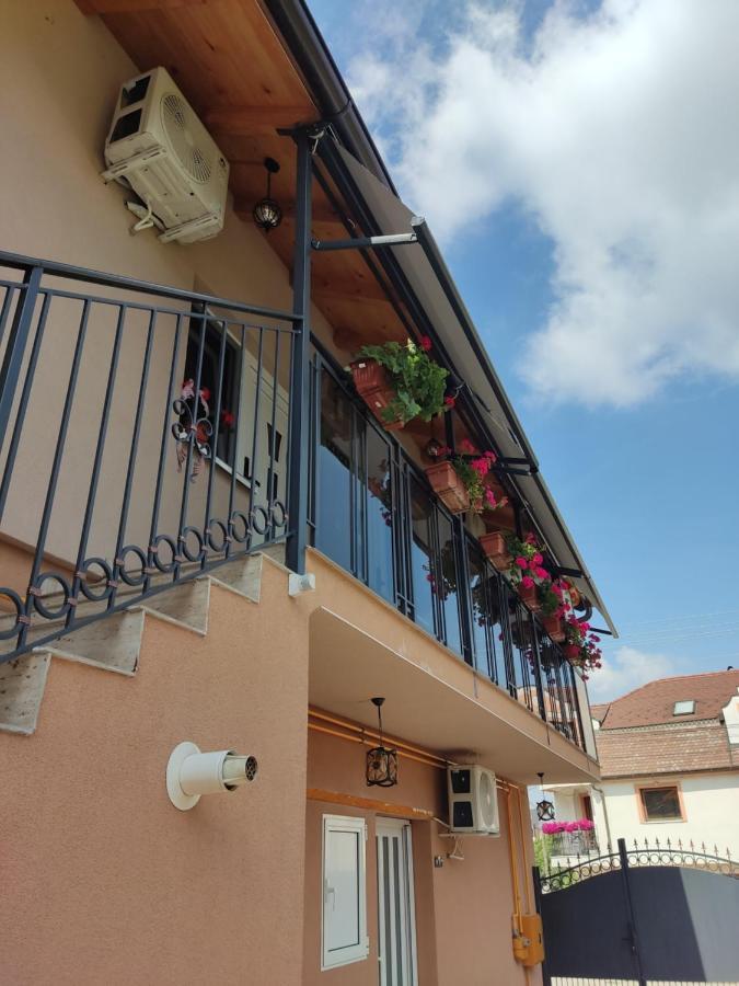 Apartmani Sladjana Novi Sad Exterior photo