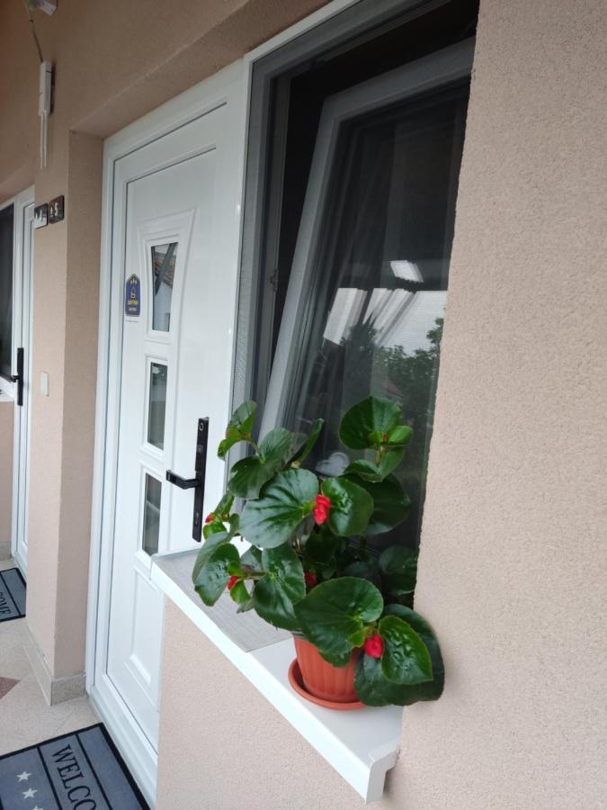 Apartmani Sladjana Novi Sad Exterior photo